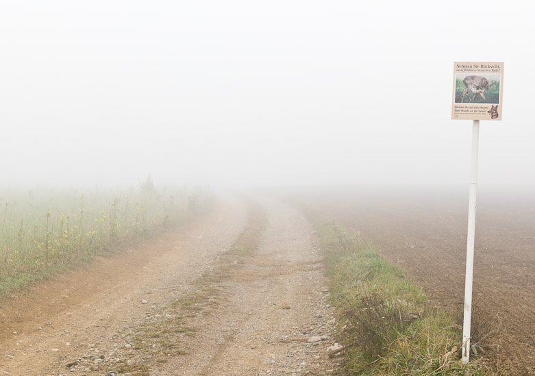 http://www.thomasebruster.com/files/gimgs/15_fog-1.jpg