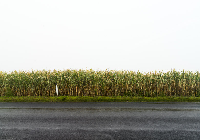 http://www.thomasebruster.com/files/gimgs/15_fog-11.jpg