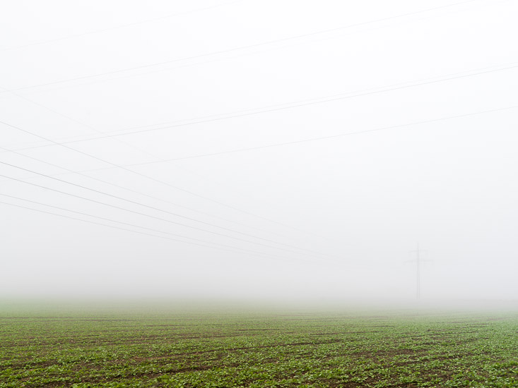 http://www.thomasebruster.com/files/gimgs/15_fog-12.jpg