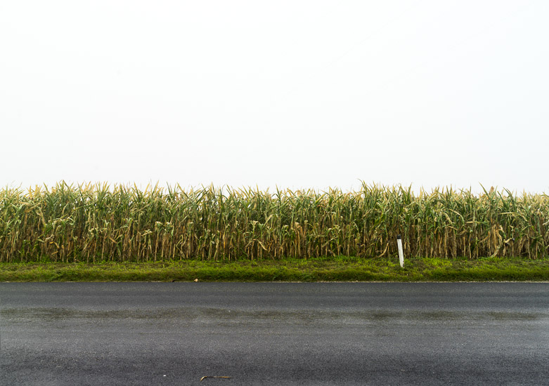 http://www.thomasebruster.com/files/gimgs/15_fog-13.jpg
