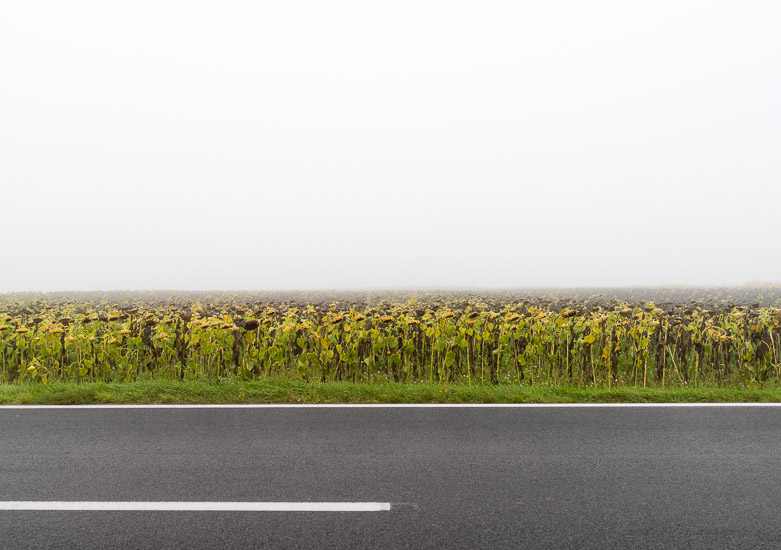 http://www.thomasebruster.com/files/gimgs/15_fog-15.jpg