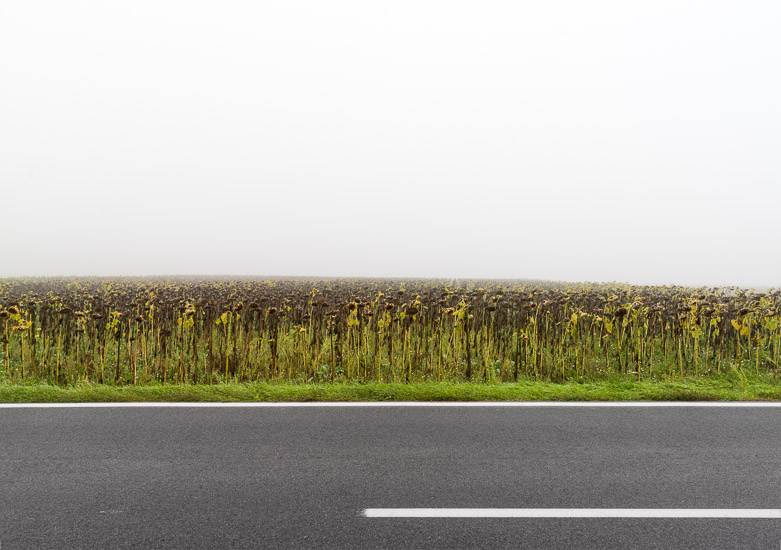 http://www.thomasebruster.com/files/gimgs/15_fog-17.jpg