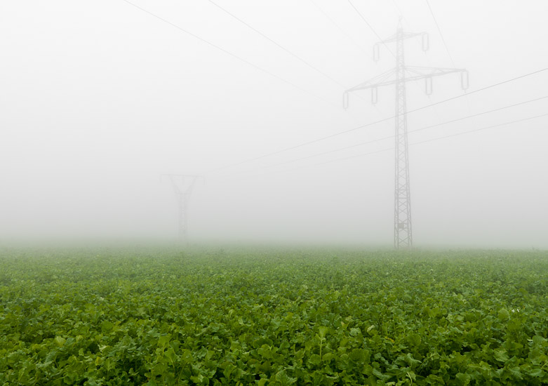 http://www.thomasebruster.com/files/gimgs/15_fog-2.jpg
