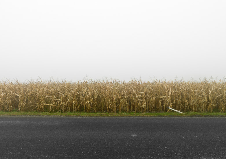 http://www.thomasebruster.com/files/gimgs/15_fog-3.jpg
