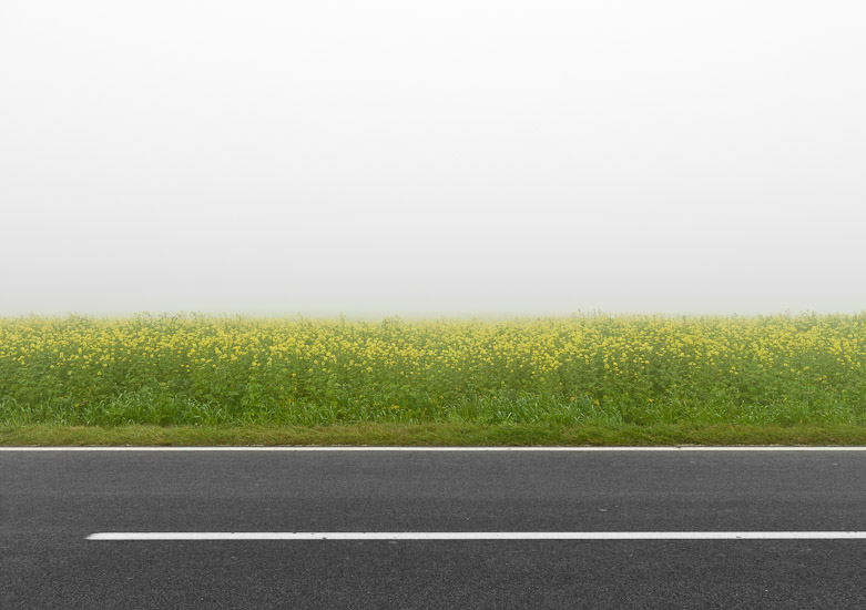 http://www.thomasebruster.com/files/gimgs/15_fog-4.jpg