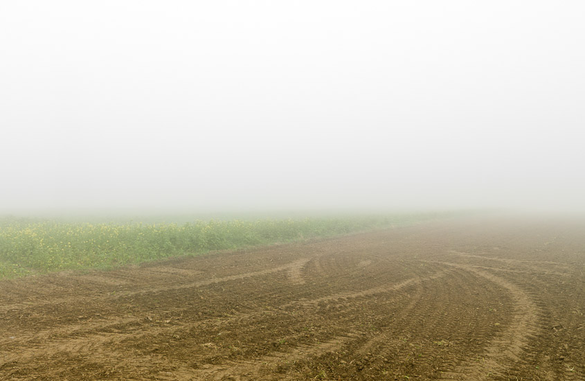 http://www.thomasebruster.com/files/gimgs/15_fog-5.jpg
