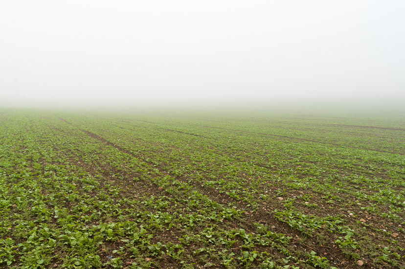 http://www.thomasebruster.com/files/gimgs/15_fog-7.jpg